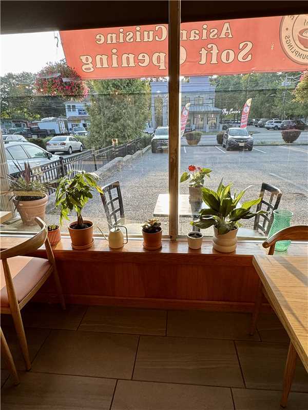 Asian-Cuisine-Noodles-&-Dumplings-Chinese-restaurant-Plant-Filled-Window-Mahopac Plant - Filled Window - Potted greens on windowsill, offering outdoor views at Asian Cuisine Noodles & Dumplings, a Chinese restaurant in Mahopac
