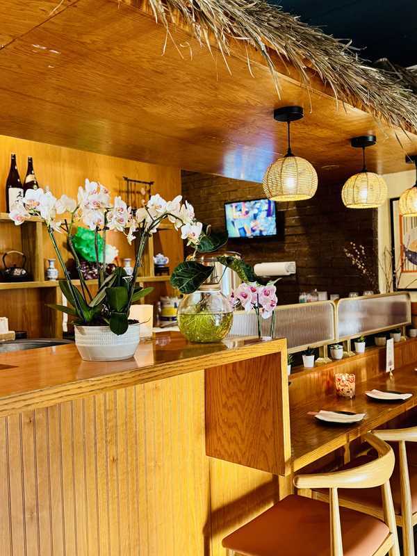 Asian-Cuisine-Noodles-&-Dumplings-Chinese-restaurant-Orchid-Bar-Mahopac Orchid Bar - Wooden counter with orchids, decor & hanging lamps at Asian Cuisine Noodles & Dumplings, a Chinese restaurant in Mahopac
